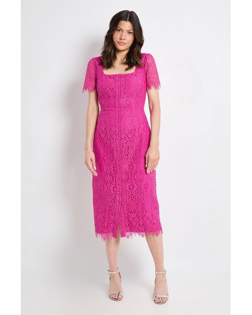 Wallis Pink Lace Button Midi Dress