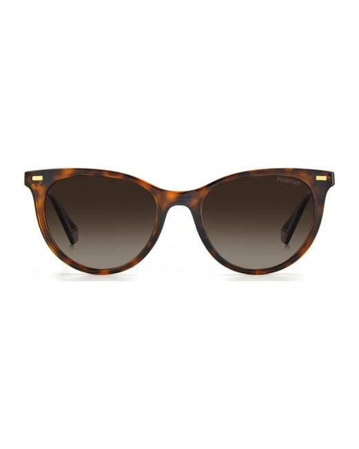 Polaroid Brown Pld 4107 52 S 086F2La Sunglasses