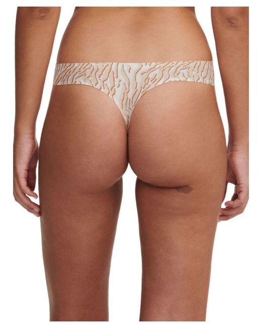 Chantelle Brown Softstretch String Thong