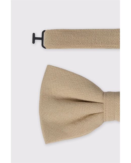 Antique Rogue Natural Bow Tie for men
