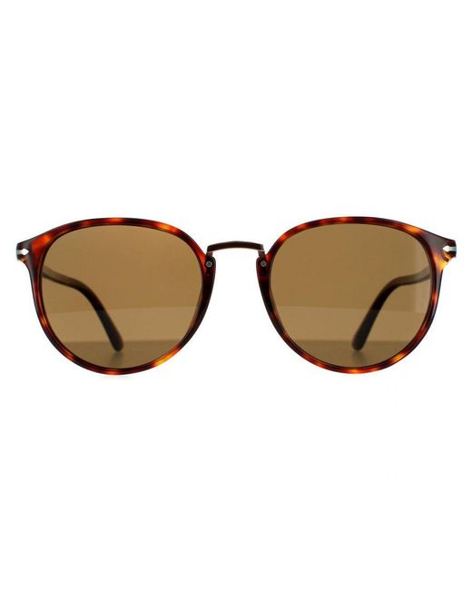 Persol Brown Oval Havana Polarised Sunglasses for men