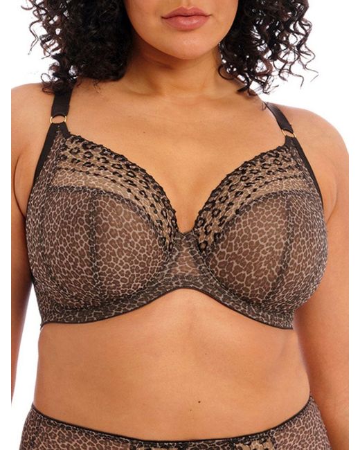 Elomi Brown Matilda Plunge Side Support Bra