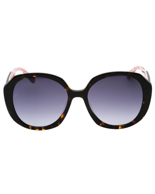 Tommy Hilfiger Black Dark Sf Lens Havana Sunglasses