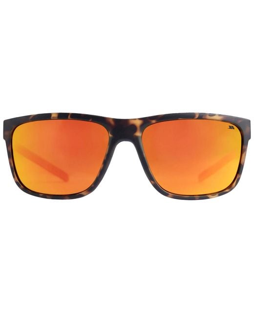 Trespass Brown Brinley Sunglasses (Tortoiseshell)