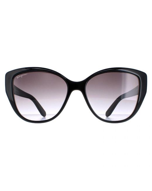 Ferragamo Brown Sunglasses Sf912S 001 With Flower Print Gradient for men
