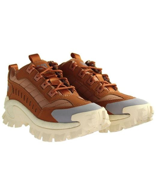 Caterpillar Brown Intruder Trainers for men