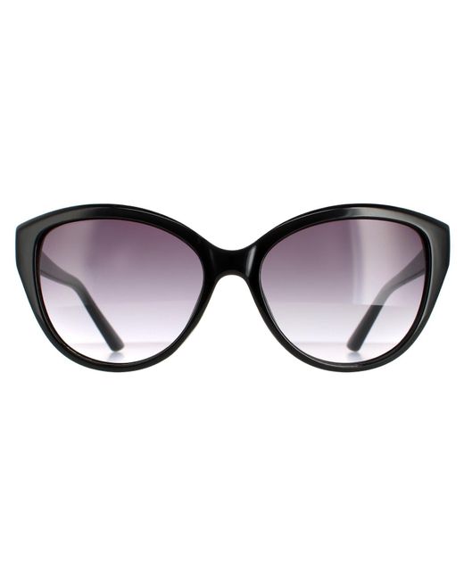 Calvin Klein Brown Cat Eye Gradient Ck19536S