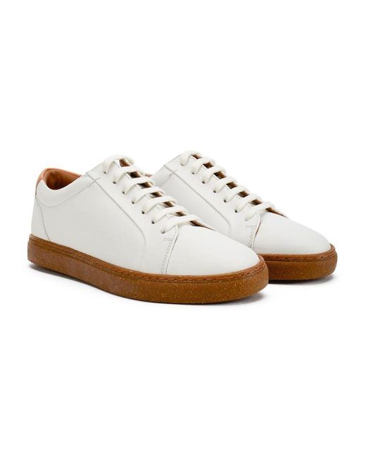 Ted Baker White Udamou Trainers for men