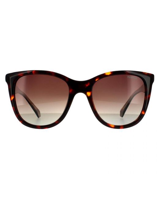 Polaroid Brown Square Havana Gradient Polarized