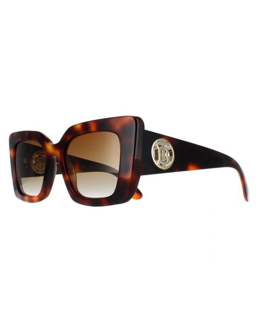 Burberry Brown Cat Eye Light Havana Gradient Polarized Be4344 Daisy