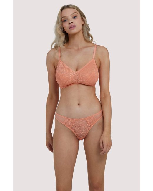 Deja Day Pink Emma Coral Brazilian Lace Brief