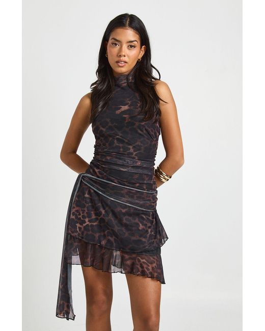 Boohoo Black Leopard Halterneck Mesh Ruffle Mini Dress