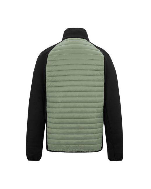 Regatta Green Clumber Hybrid Jacket (Light Sage/ for men
