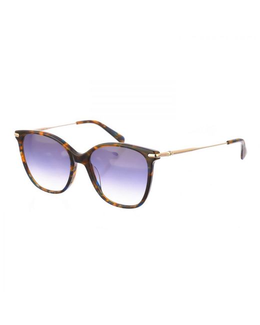 Longchamp Blue Lo660S Butterfly Shaped Acetate Sunglasses