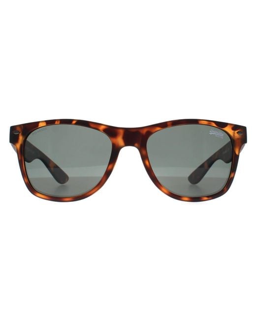 Superdry Brown Rectangle Havana Alfie for men