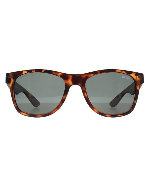 Superdry Brown Rectangle Havana Alfie for men