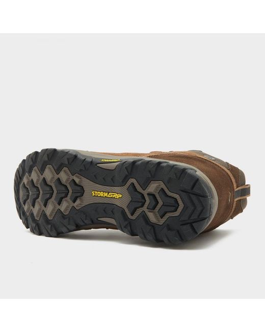 Peter Storm Brown Eskdale Ii Waterproof Walking & Hiking Mid Boots With Stormgrip Outsole for men