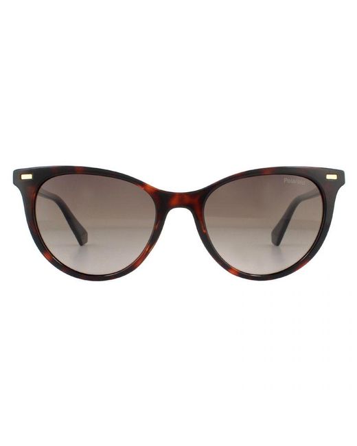 Polaroid Brown Cat Eye Havana Gradient Polarized Sunglasses