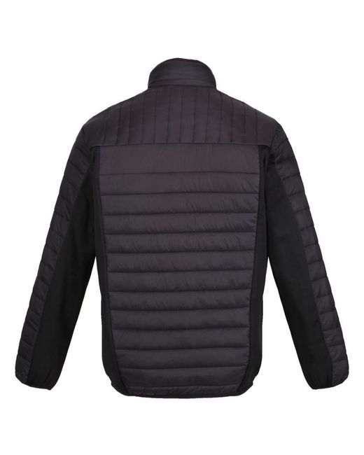 Regatta Blue Tourer Hybrid Padded Jacket for men