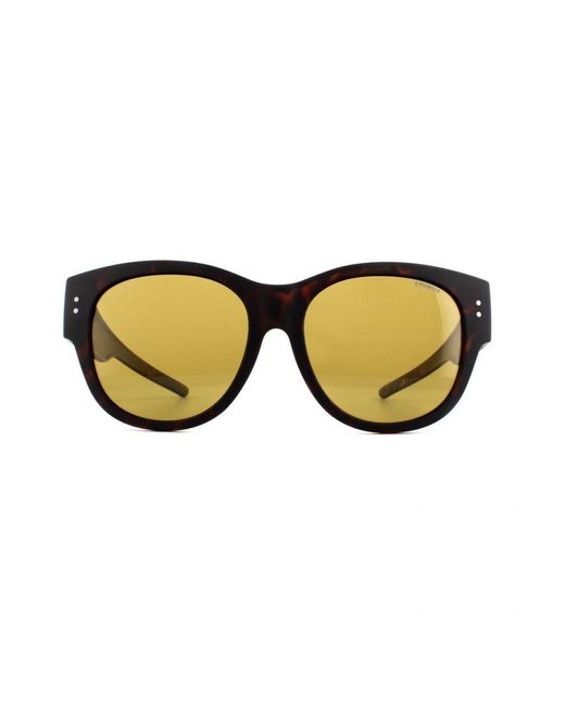 Polaroid Brown Suncovers Rectangle Matte Havana Polarized Sunglasses for men
