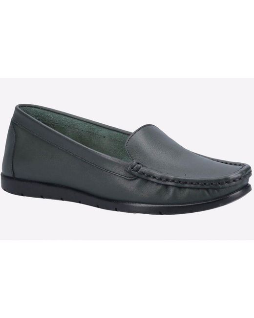 Fleet   Foster Black Tiggy