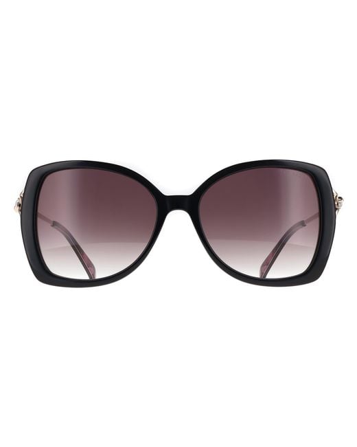 Ted Baker Brown Butterfly Gloss Solid Dark Gradient Tb1773 Vallie