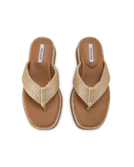 Steve Madden Brown Bella Sandals