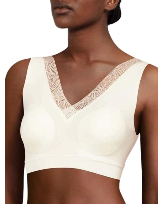 Chantelle Brown Softstretch Wire Free Bra