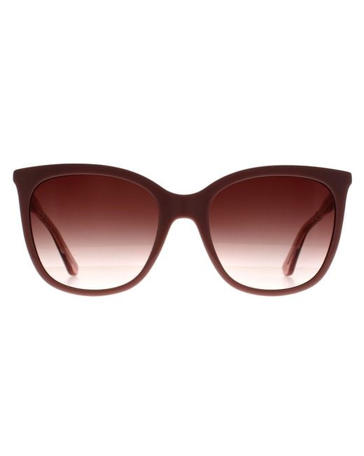 Calvin Klein Brown Cat Eye Rose Gradient Ck23500S