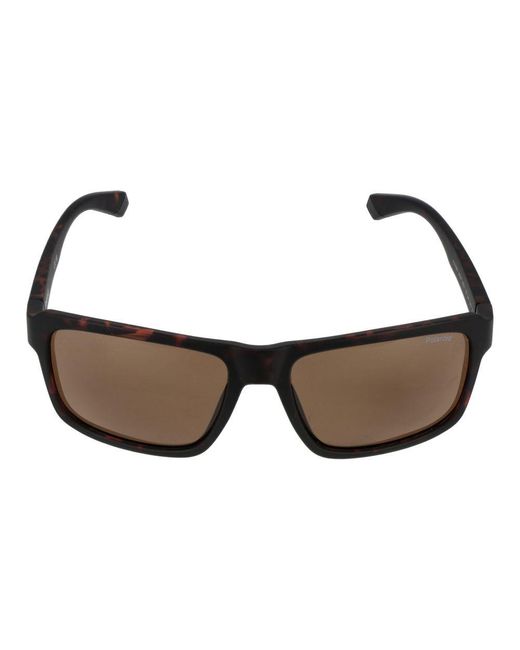 Polaroid Multicolor Brown Plastic Sunglasses for men