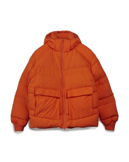 Adidas Orange Cl Puffy Jacket for men