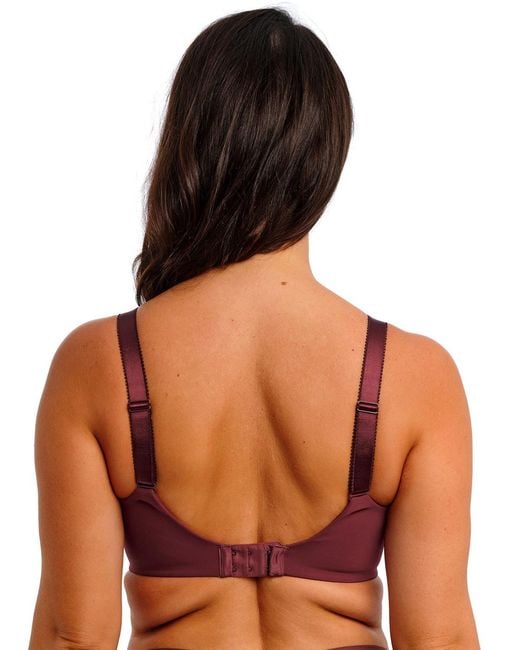 Fantasie Purple 103211 Demure Moulded Non Padded Bra