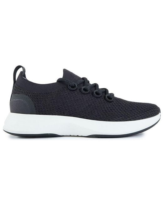 ALLBIRDS Blue Dasher Nz Trainers