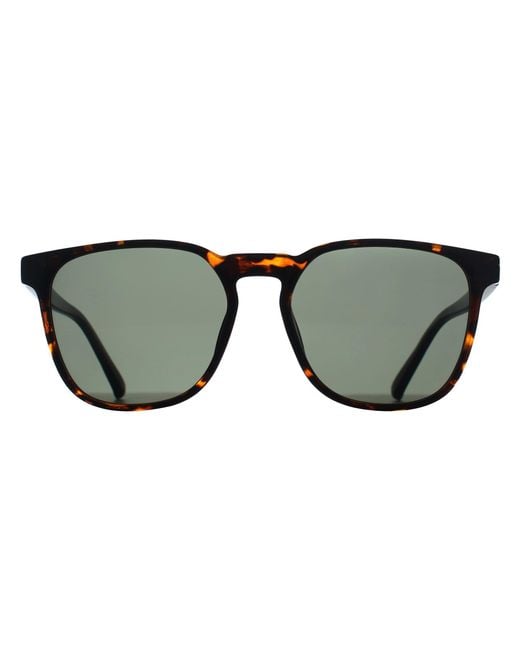 Kenneth Cole Brown Reaction Round Dark Havana Kc1414 for men
