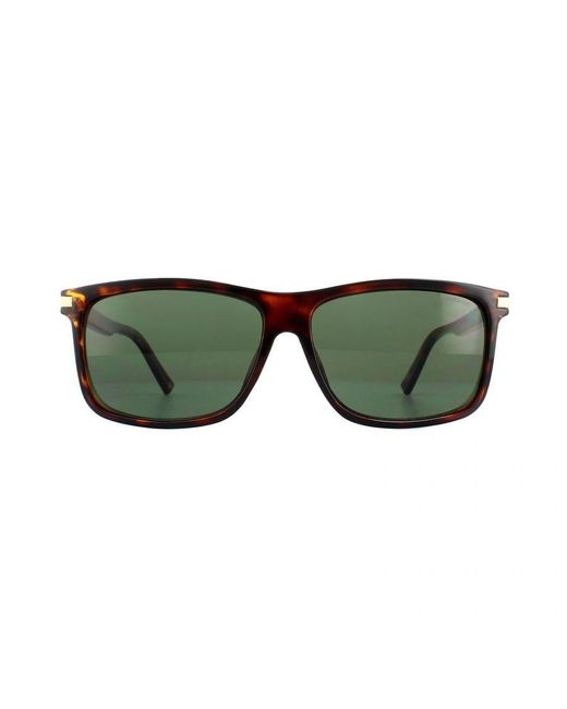 Polaroid Green Rectangle Dark Havana Polarized Sunglasses for men