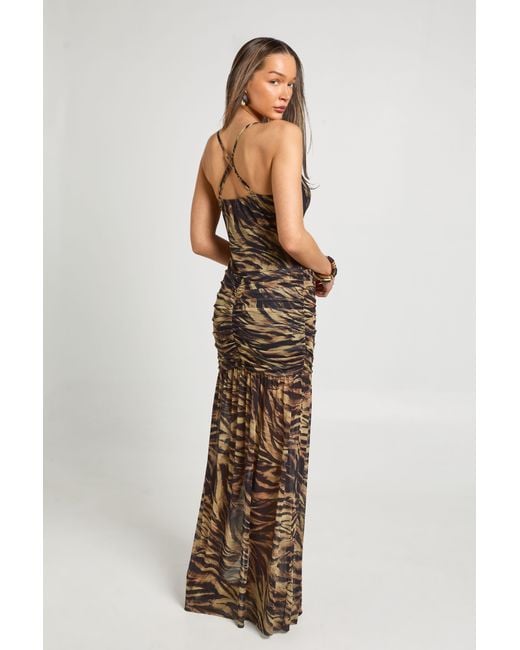 Boohoo Natural Zebra Printed Mesh Cross Back Detail Flare Hem Maxi Dress