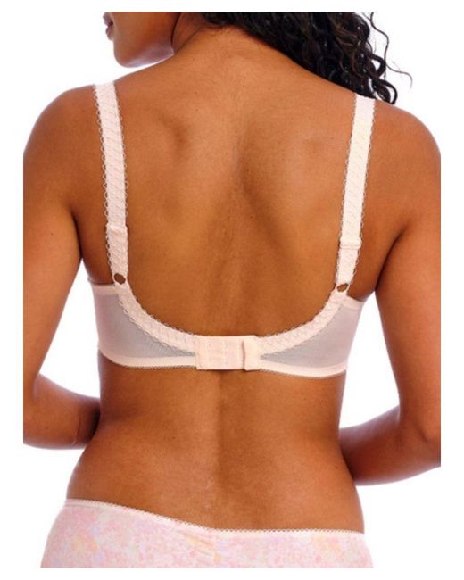 Freya Brown Daydreaming Plunge Bra