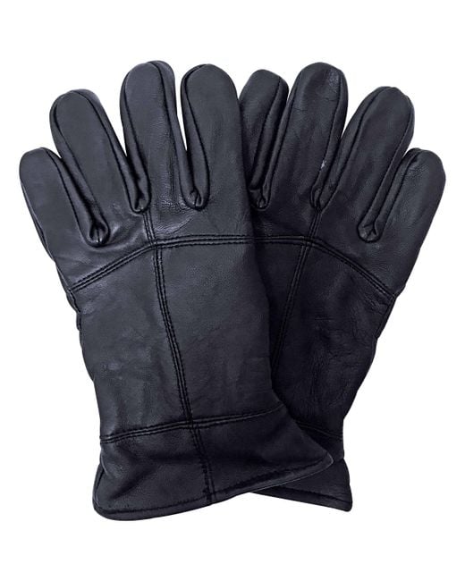 Thinsulate Blue 3M 40 Gram Thermal Insulated Winter Leather Gloves for men