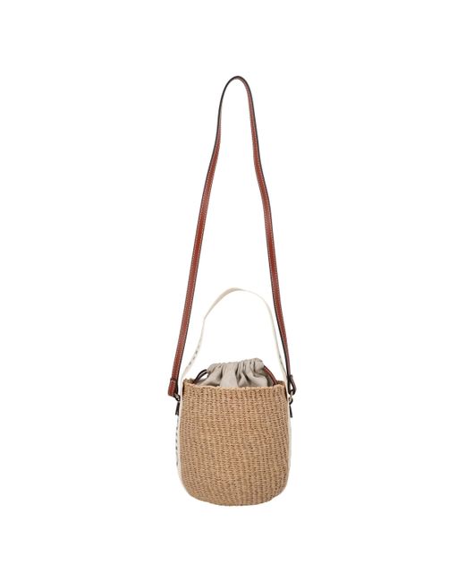 Chloé Metallic Small Woody Basket Top-Handle Bag