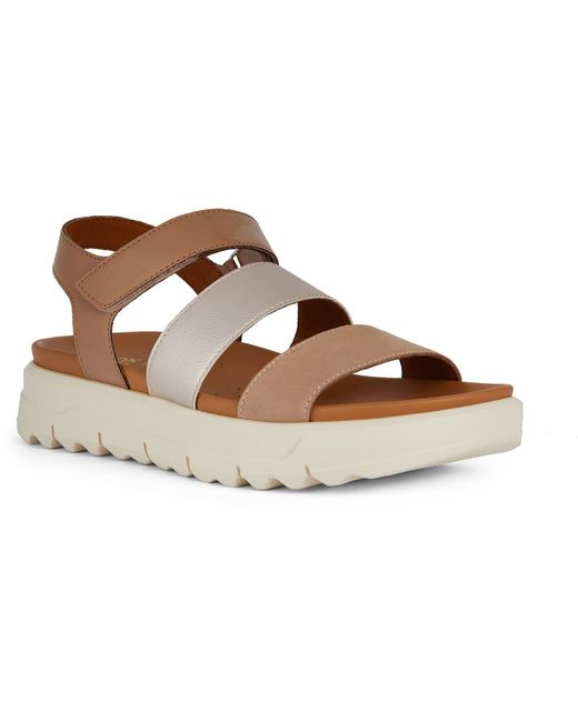 Geox Brown D Xand 2.1S B Synthetic Sandals