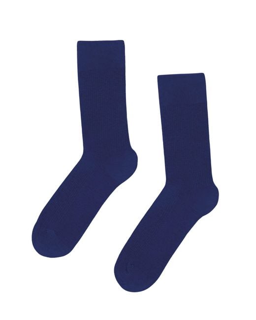 COLORFUL STANDARD Blue Classic Socks for men