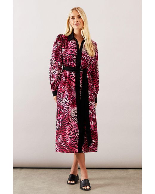 Wallis Pink Petite Animal Contrast Panel Midi Shirt Dress