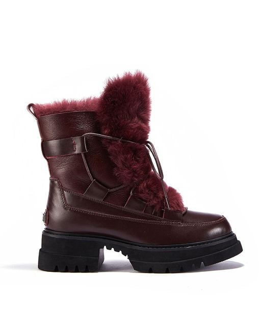 Australia Luxe Purple Westward Windsor Boot