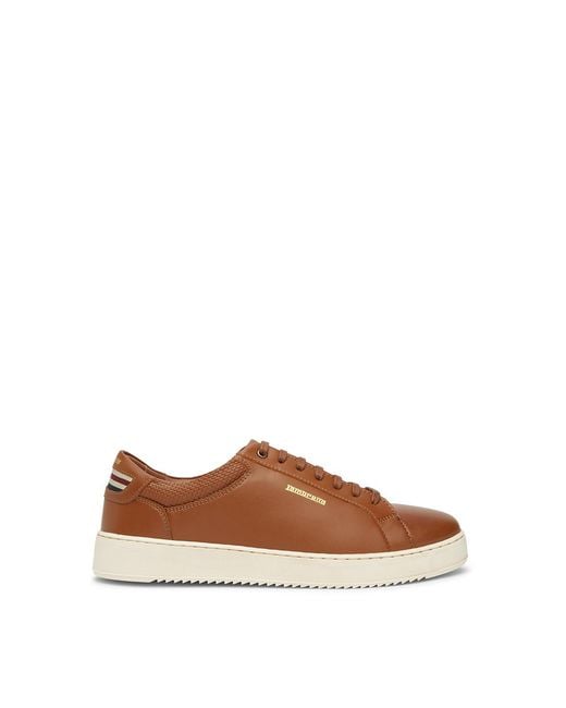 Lambretta Brown Robbie Cupsole Trainer for men