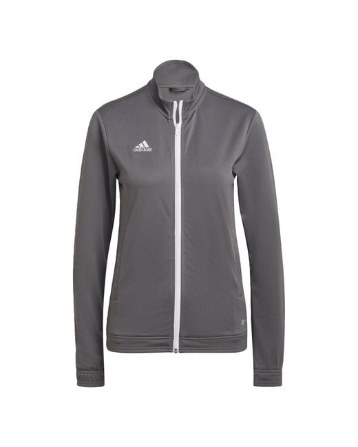 Adidas Originals Gray Entrada 22 Track Jacket