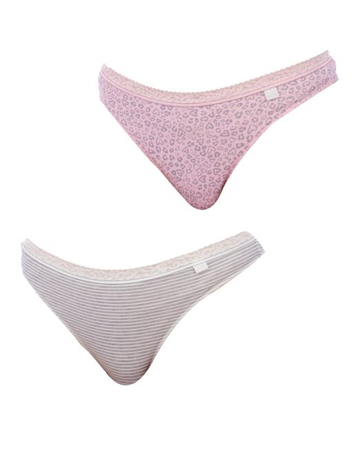 Janira Purple Pack Of 2 Cotton Thongs 1031159