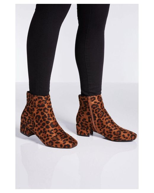 Quiz Brown Wide Fit Leopard Print Block Heel Ankle Boots