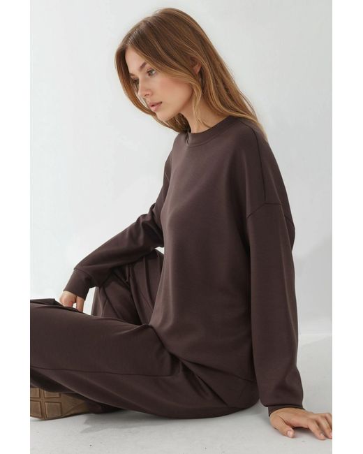 Hiccup Brown Modal Touch Basic Sweatshirt