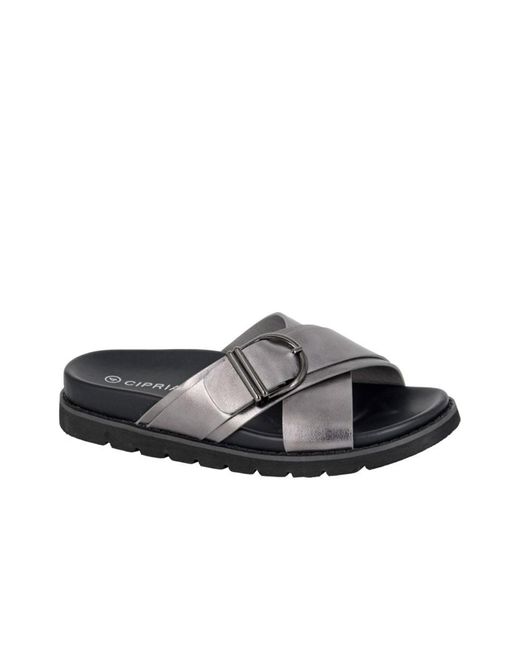 Cipriata Black Dalia
