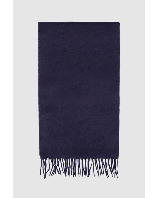 Alexandre Silver Label Blue Merino Wool Scarf for men